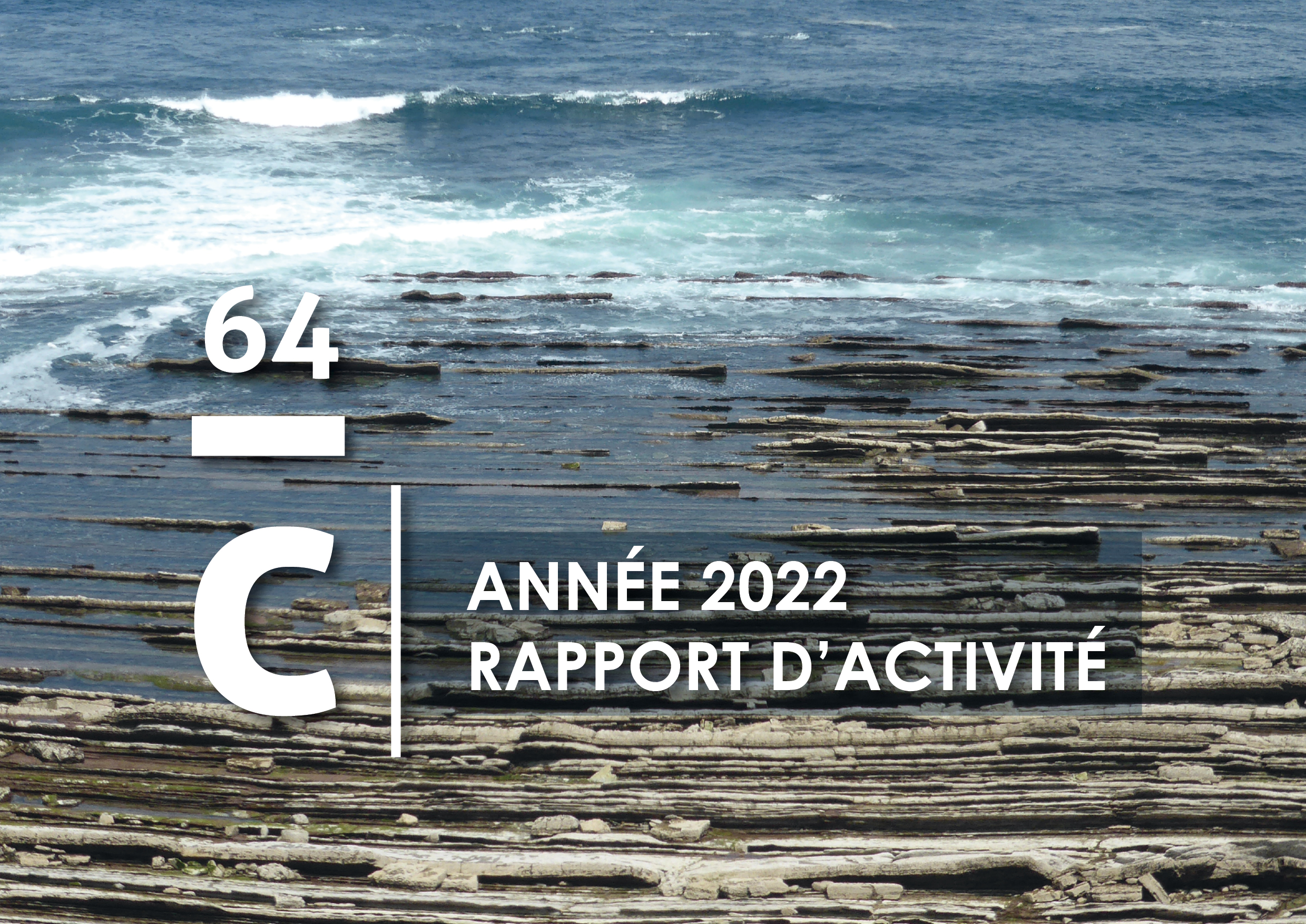 Rapports d'activité