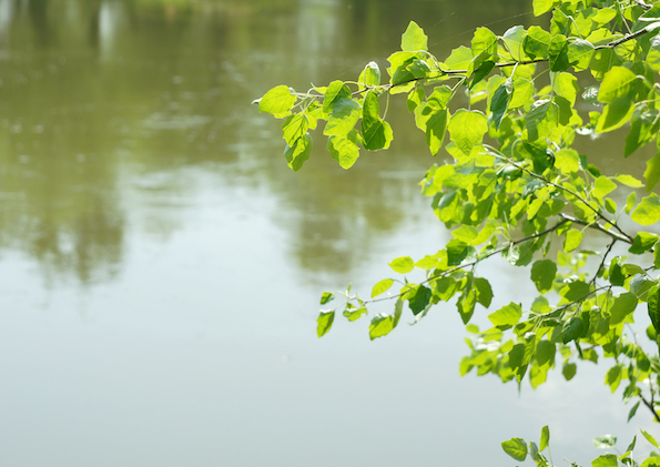 Fiches pratiques : la gestion de l'eau